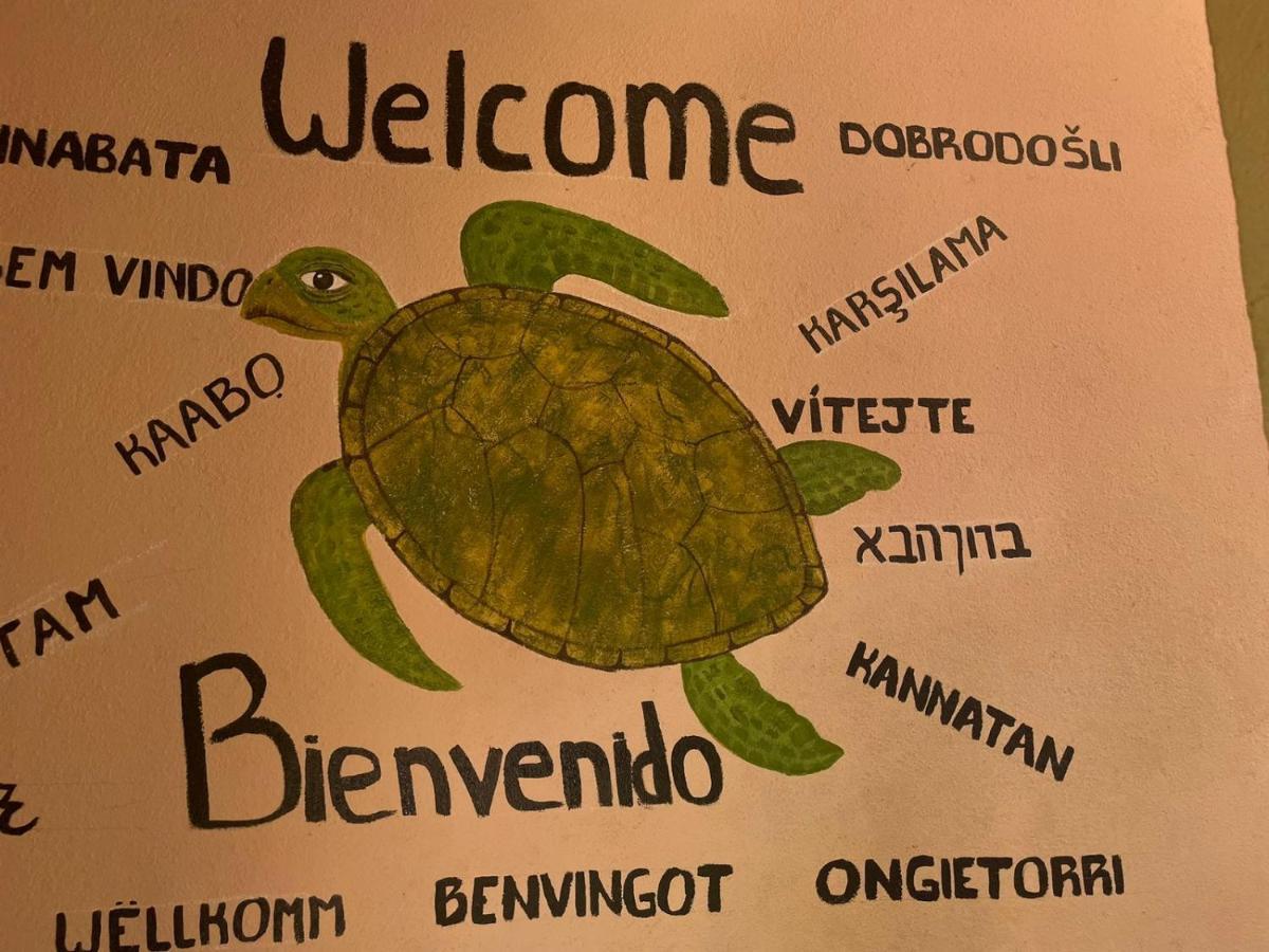 Hotel Bigu Puerto Escondido  Zewnętrze zdjęcie